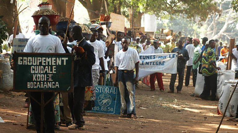 Progetto Fiera Agricola Bozoum